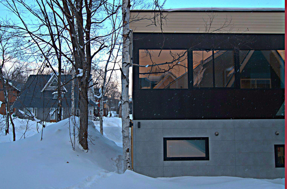 Вілла Snow Monkey House Hirafu Екстер'єр фото